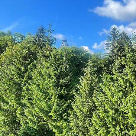 Willa Tusculum Świeradów-Zdrój エクステリア 写真